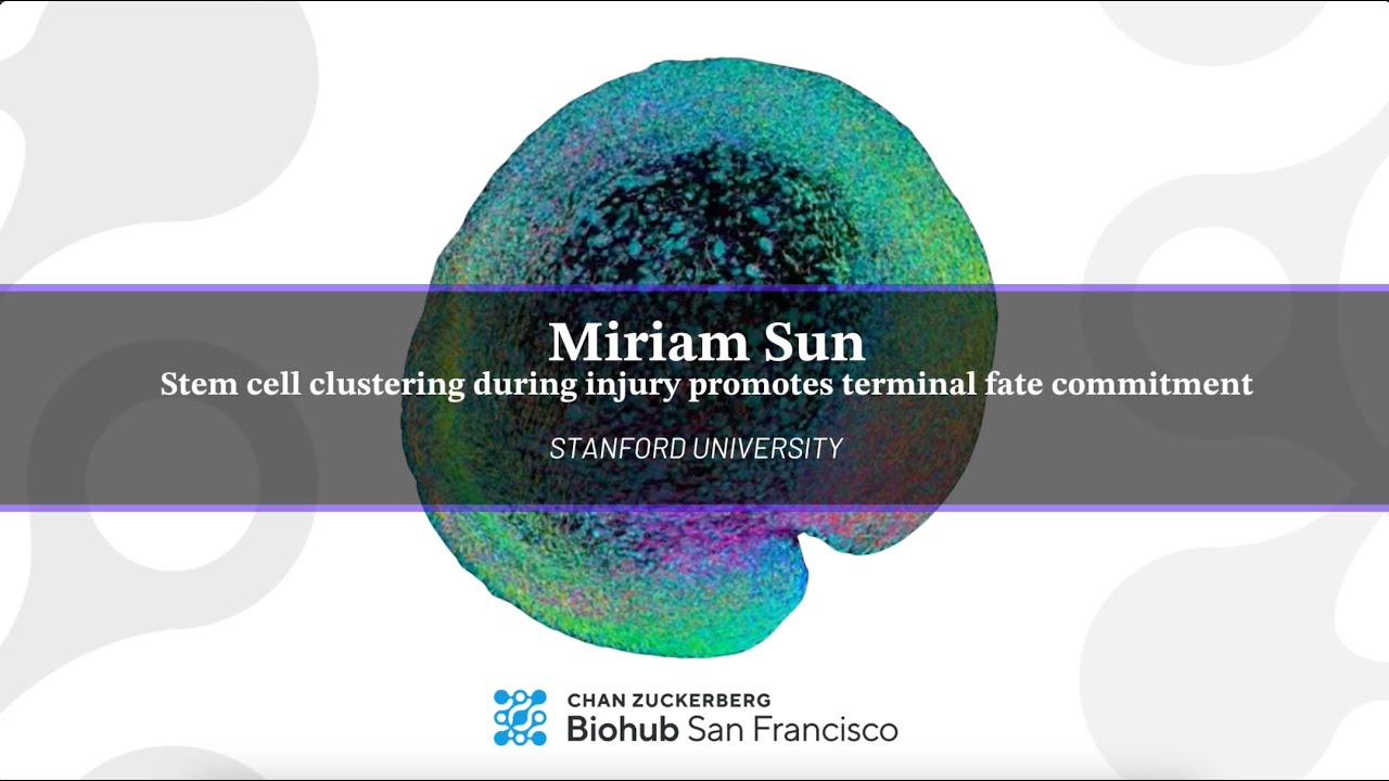 Physics of Life Symposium 2025: Miriam Sun