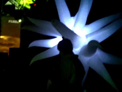 Stilldream 11 - Hypnotech