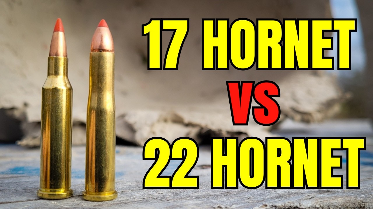 17 Hornet vs 22 Hornet: Not What I Expected...