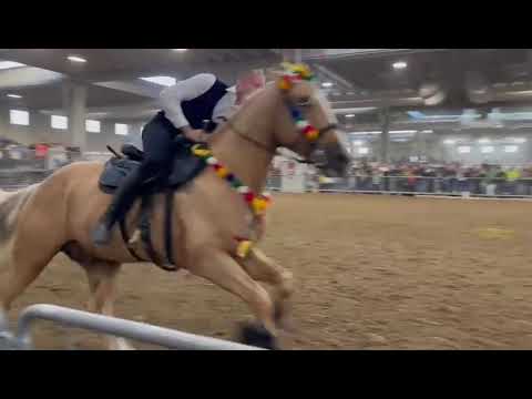 artista montemaggiorese Francesco Di Martino con il suo cavallo Merlin