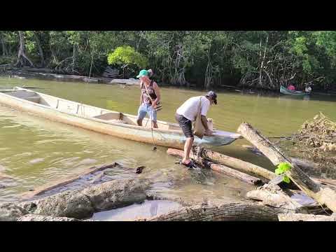 Colombia. Necoclí y el festival de bullerengue, Arboletes y su volcán de lodo. Urabá Antioqueño 2025