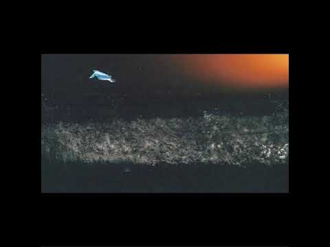 MNMT Premiere: Martin Allin – Vesterhavet (Shaded Explorer Remix)