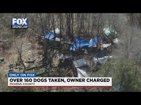 More than 100 dogs rescued from poor living conditions in Pickens County