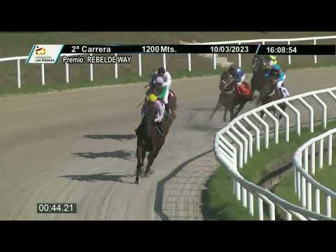 230310 c02 - EGYPT - HIPODROMO LAS PIEDRAS