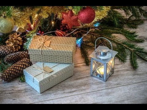 Andra Nedisan - Galbena gutuie cover Nica Zaharia, versuri Adrian Paunescu