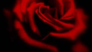 this love sarah brightman...