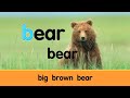 Starfall Letter B Big Brown Bear