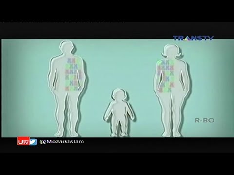 Mozaik Islam - Kisah dramatis setelah berujung tes DNA