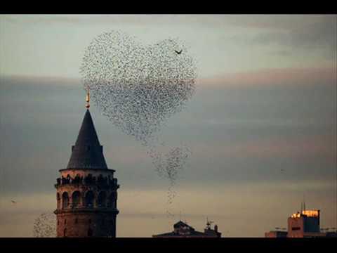 SeNi ÇoK SeViYoRuM YuSuF...