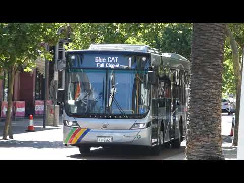 Transperth Volvo B8RLE (Volgren Optimus) TP2665 at James Street,Northbridge