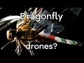 Living dragonfly drones take flight - BBC Click