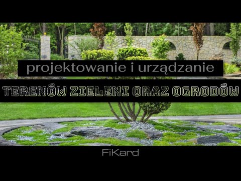 Zobacz filmy filmy