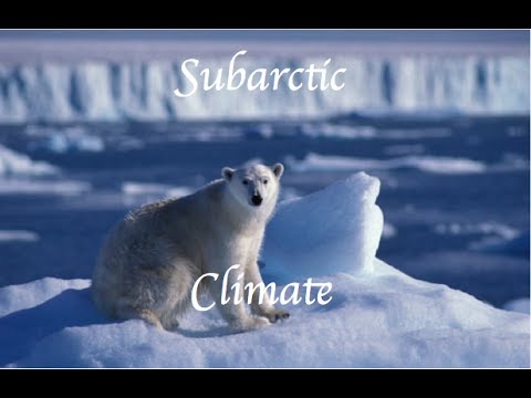 Subarctic Climate Project