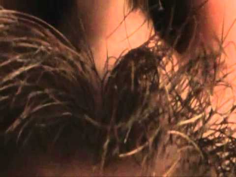 DOCTOR PEZ - HOMBRE BALA