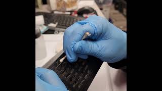 Video Game Console Cleaning ASMR - Brush Sounds, Dust Removal, Rhythmic Clicking PS2