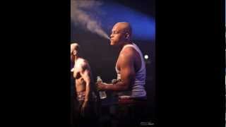 Sticky Fingaz - What If I Was White (České Titulky)