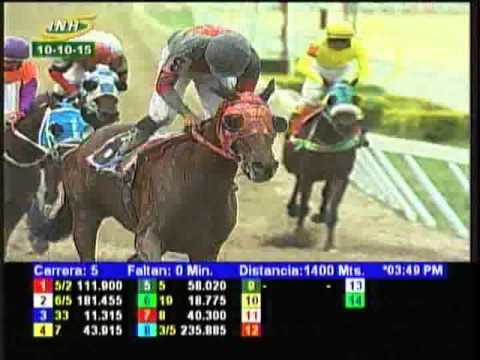 Resumen Sábado, 10 de Octubre de 2015 - La Rinconada