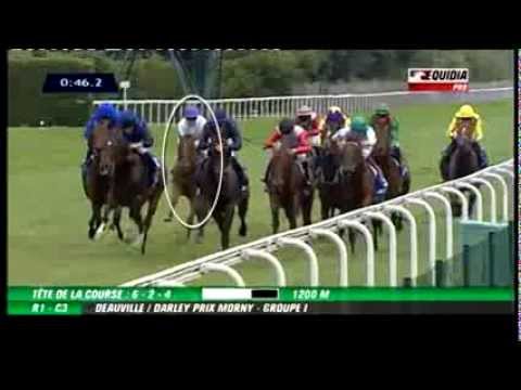 Breeders' Cup 2013 preview: Friday Juvenile races