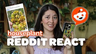 HOUSEPLANT REDDIT 🔴🪴 | someone potted up Ragweed, Aloe Mite Infestation, and MORE thrips?!