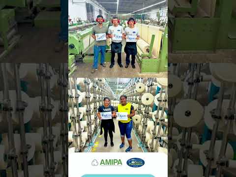 Dia Mundial do Algodão 2025 - Santa Margarida