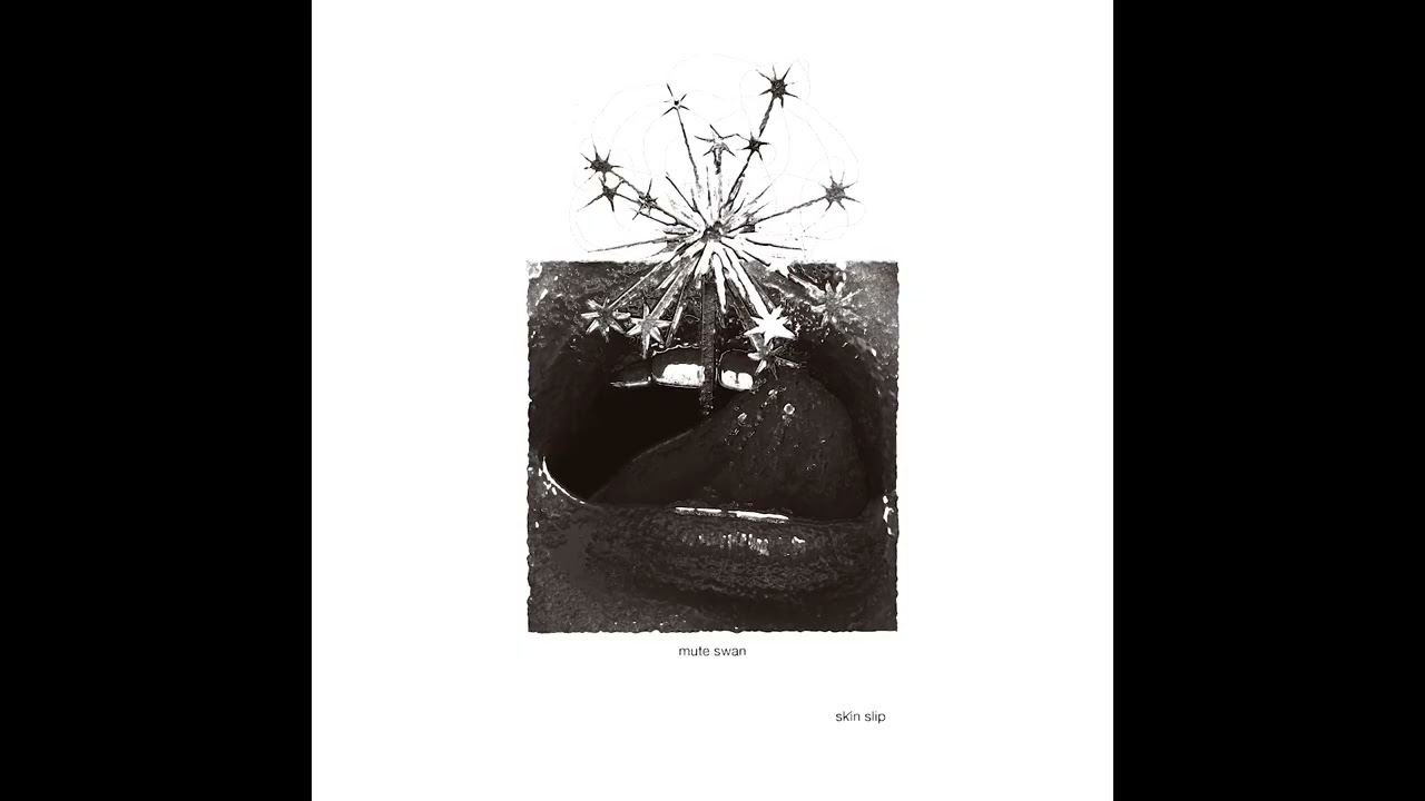 Mute Swan - Like a Chump