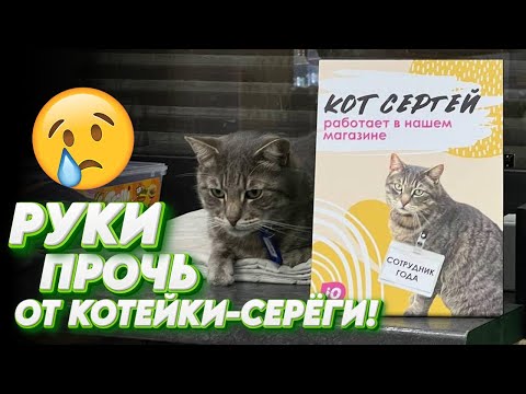 «Уволенный» котик в Зеленоградске. Бюрократы — руки прочь от котейки!