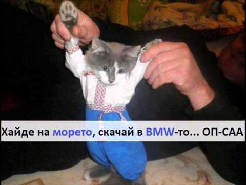 Suraikata - Tazi nosht