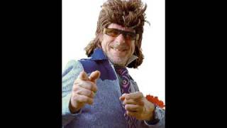 helge schneider   meisenmann