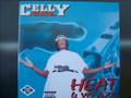 celly cel-pimp's playa's and hustla's