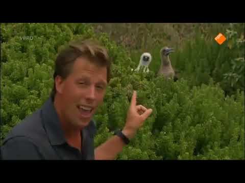 Freeks wilde wereld  Dieren die niet vluchten