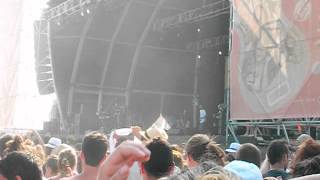 bongo botrako   bastante normal