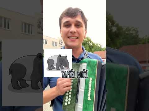 Karel Plíhal - Amnestie (cover) Pavel Mucha