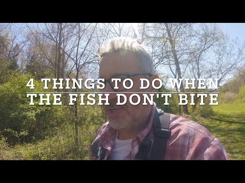What to do when the fish won't bite