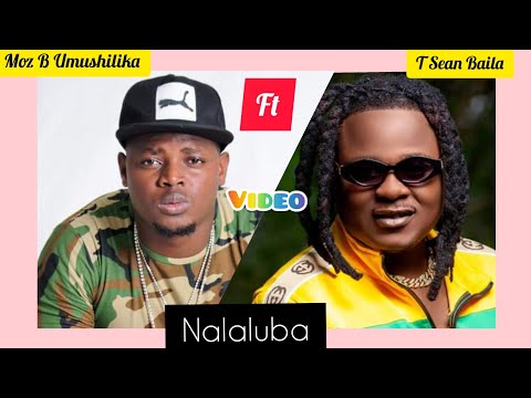 Moz B ft T Sean -Nalaluba Cartoon Animation.