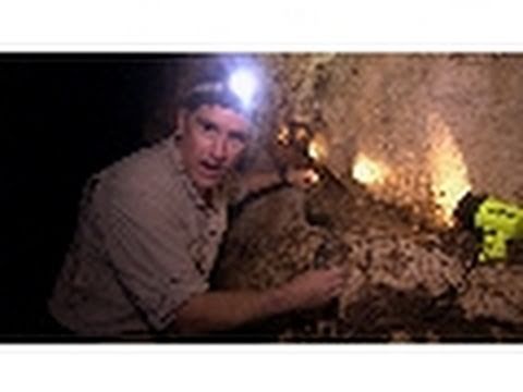 Knee-Deep in Guano | Dangerous Encounters