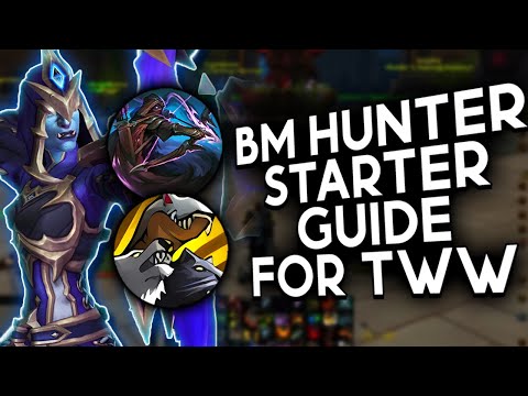Starter's guide for Dark Ranger BM Hunter in TWW Season 3