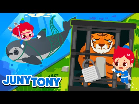Animais em Perigo de Extinção | Proteja e Ajude os Animais | Música Infantil | JunyTony em Português