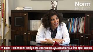 Veteriner Hekimler Neden İş Bırakacak? BVHO Başkanı Baysal’dan Özel Aç