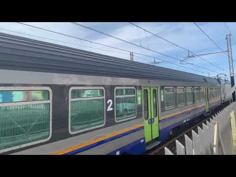 Treno regionale da Sapri a Paola