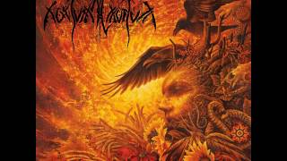 Nokturnal Mortum: Смерековий Дід