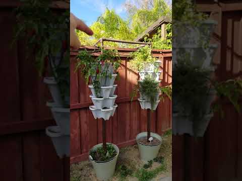 UPDATE: Mr. Stacky Vertical Drip System