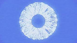 Slowwves – “SWS”