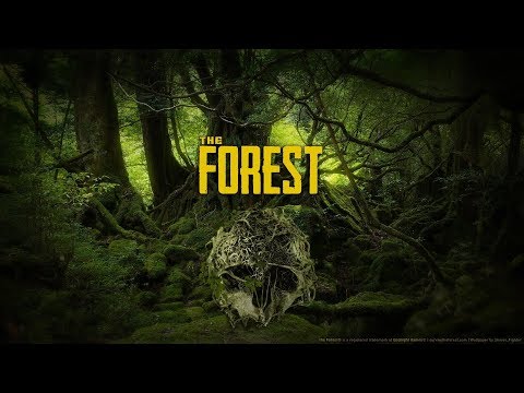 THE FOREST [HD+] #134 - Das Loch in der Wand muss tiefer sein!!