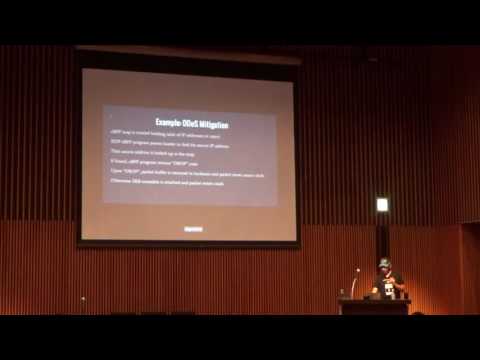 Netdev 1.2 - Fast Programmable Networks & Encapsulated Protocols - David S. Miller