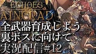 [SAOエコーズオブアインクラッド]裏ボス攻略に向けて 全武器育成しよう[Echoes of Aincrad][PS5][実況配信][BroadCast12]