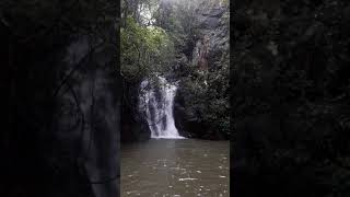 preview picture of video 'Saranda forest (Hilltop water fall)'