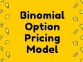 Binomial Option Pricing Model Calculator Video