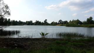 preview picture of video 'Szczytniki nad Kaczawą - jezioro'