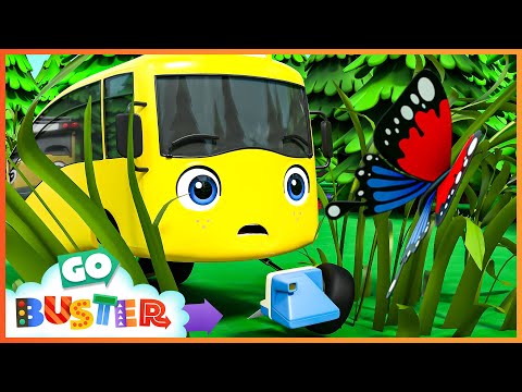 Buster's butterfly adventure!