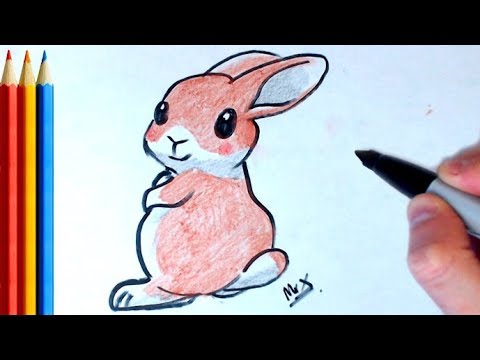 How to Draw brown bunny - Step by Step Tutorial